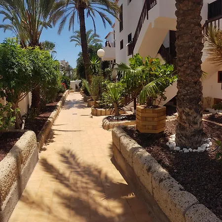 公寓 Paraiso Royal Las Americas 美洲海滩